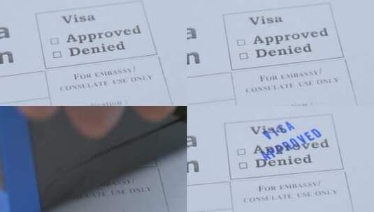 旅行或移民的纸质申请表高清在线视频素材下载