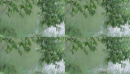 唯美春天公园花草树木阳光风景8K实拍高清在线视频素材下载