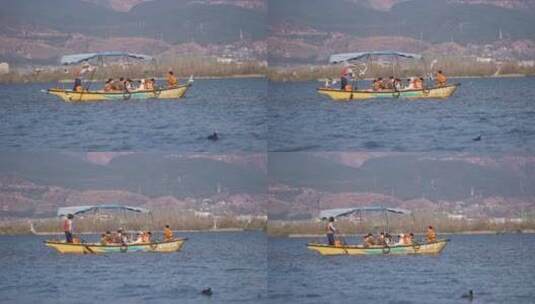 西昌邛海游客坐木船看海鸥高清在线视频素材下载