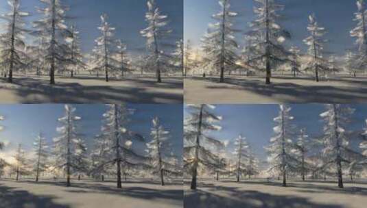 白雪中的树林高清在线视频素材下载