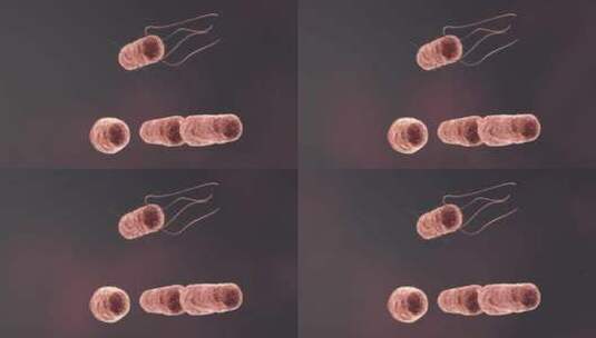 医学微观生物病毒细胞形态医疗三维动画展示高清在线视频素材下载