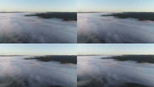 森林云海、云雾高清在线视频素材下载