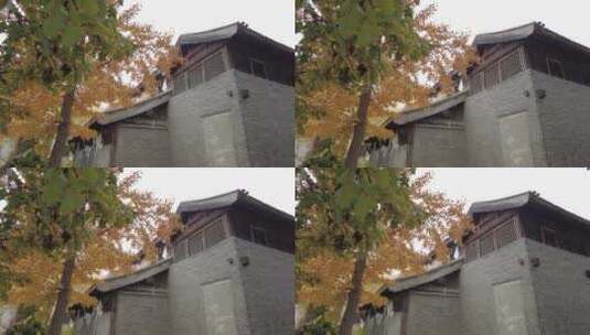 秋季古建筑高清在线视频素材下载
