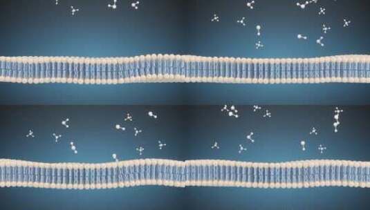 细胞膜与表面分子高清在线视频素材下载