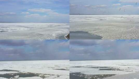 海冰 冰面高清在线视频素材下载