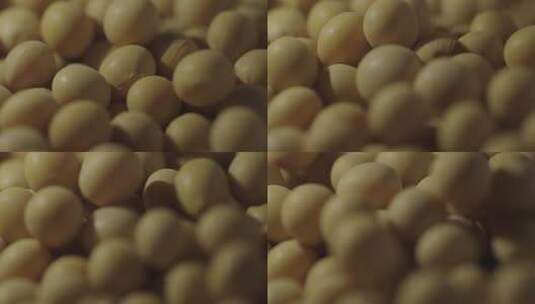 微距黄豆豆子大豆高清在线视频素材下载