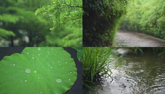 下雨空镜素材高清在线视频素材下载