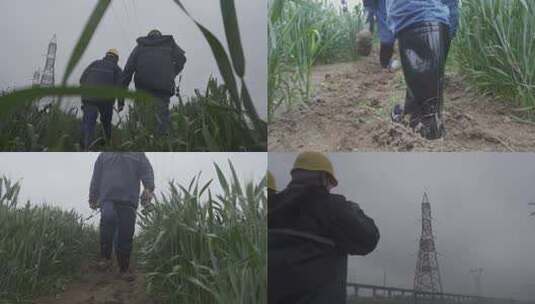 电力员工雨后踏着泥泞巡线实拍视频高清在线视频素材下载