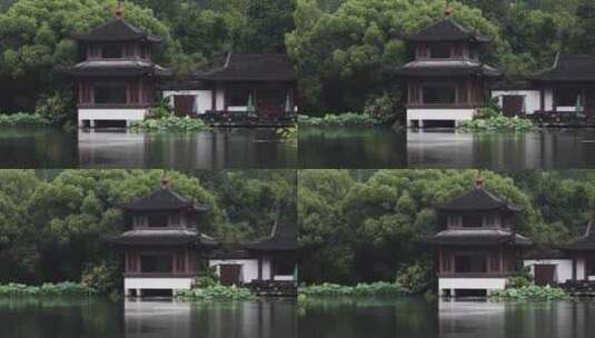 杭州西湖中式园林初夏细雨荷叶曲院风荷高清在线视频素材下载