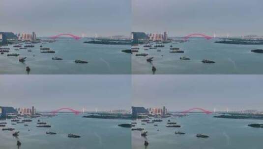 【正版4K素材】广州南沙明珠湾大桥高清在线视频素材下载