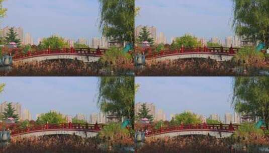 西安大唐芙蓉园蓝天小桥流水凋零的荷叶高清在线视频素材下载