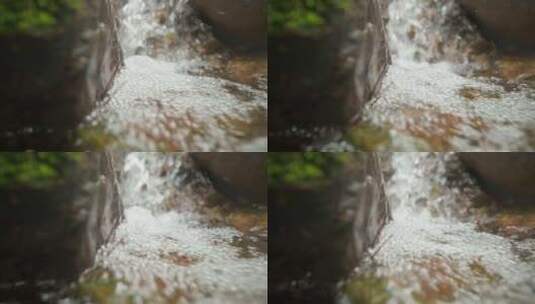 春天山谷泉水清澈小溪水泡高清在线视频素材下载