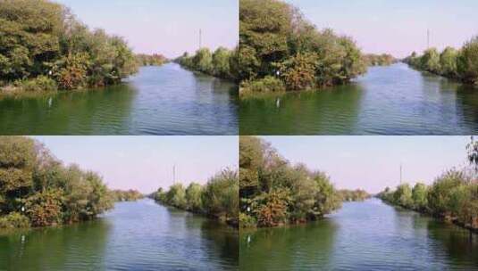 中国杭州西溪湿地高清在线视频素材下载