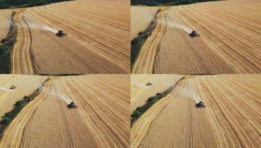 航拍农业机械收割麦子高清在线视频素材下载