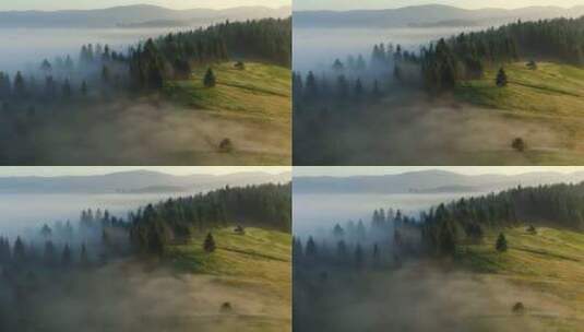 树木和森林覆盖的山脉 高山山峰上的雾和云高清在线视频素材下载