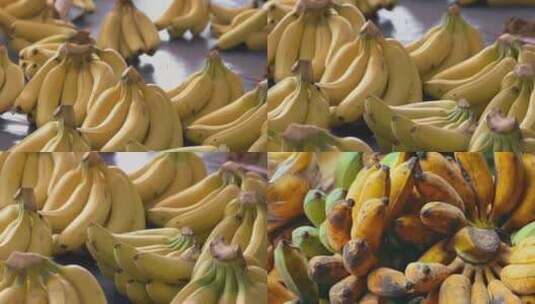 【4K原创】香蕉新鲜水果高清在线视频素材下载