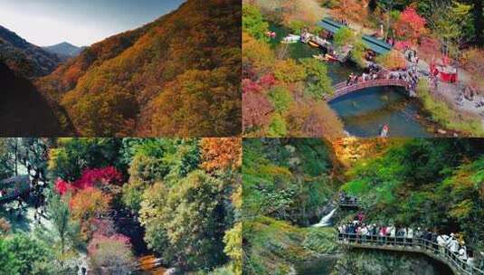 辽宁省本溪市大石湖风景区 秋天 枫叶高清在线视频素材下载