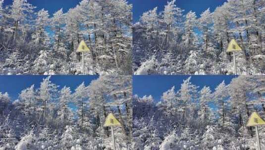 雪原森林纯净雾凇风景高清在线视频素材下载