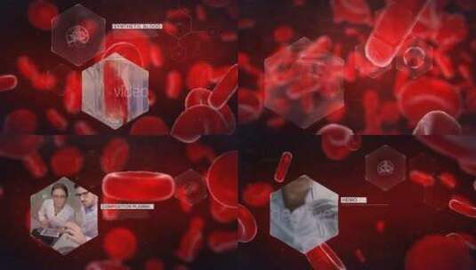 科技感血细胞结构展示医学介绍AE模板高清AE视频素材下载