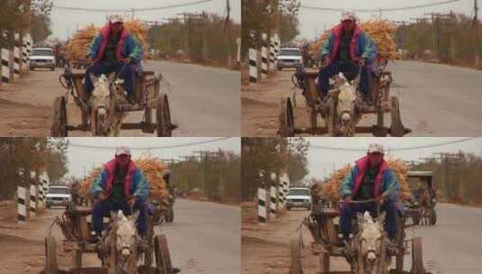 农民驾着驴车在乡村公路上行驶高清在线视频素材下载