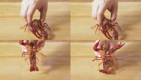 红壳白肚净水小龙虾高清在线视频素材下载