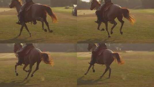 人骑着马在草地上奔跑延时高清在线视频素材下载