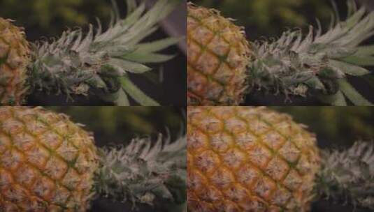 表皮粗糙的整个菠萝高清在线视频素材下载