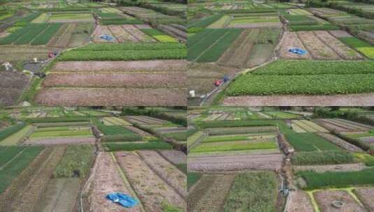 飞向农田耕种的农民高清在线视频素材下载