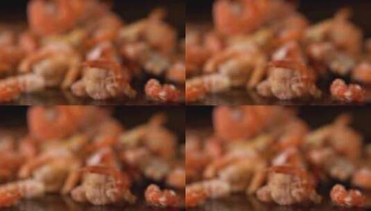 南极磷虾干虾米高清在线视频素材下载