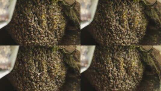 森林野生蜂箱蜂蜜蜂巢高清在线视频素材下载