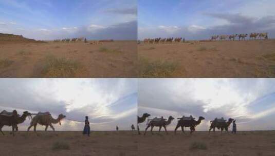 沙漠 古道 驼队高清在线视频素材下载