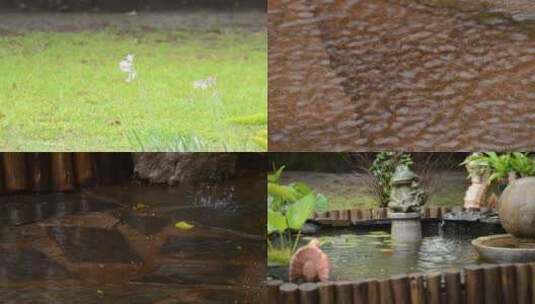春天下雨唯美清新空镜雨景高清在线视频素材下载