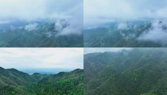 航拍云雾缭绕大山深处原始森林合集2高清在线视频素材下载