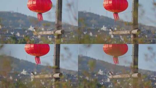 红灯笼下站着的小鸟高清在线视频素材下载