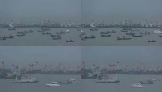 渔船停在港湾里高清在线视频素材下载