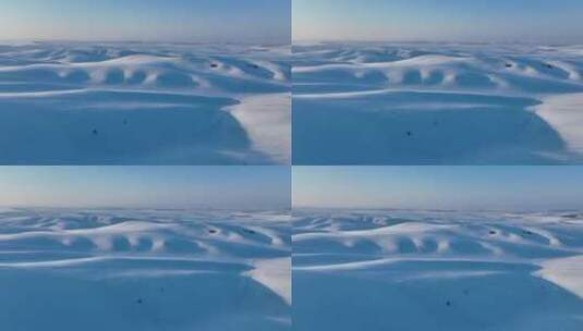 呼伦贝尔森林草原过渡带雪原雪景高清在线视频素材下载
