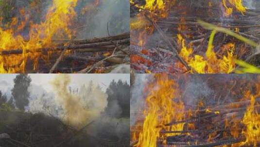 野外干柴野火燃烧高清在线视频素材下载