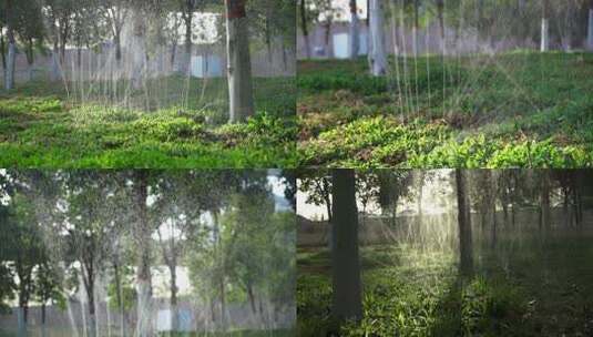 灌溉浇水绿化环保慢镜头高清在线视频素材下载