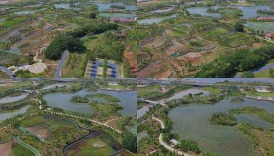 航拍厦门马銮湾双溪湿地公园高清在线视频素材下载