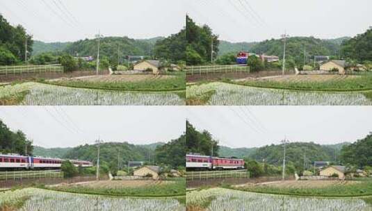 火车从乡村的稻田边驶过高清在线视频素材下载
