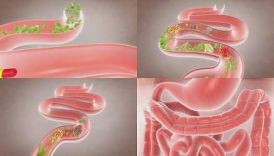 消化系统 排便 排毒 宿便 恢复肠道健康高清在线视频素材下载