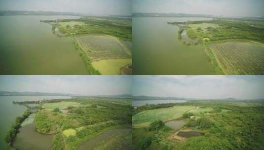 武汉湖边不规则形状的养殖地航拍高清在线视频素材下载