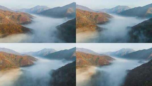 秋季山间云雾缭绕高清在线视频素材下载