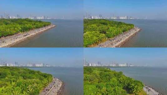 4K航拍深圳湾公园5高清在线视频素材下载