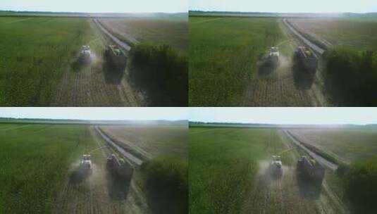 乌克兰绿色联合收割机切割玉米作为青贮饲料高清在线视频素材下载