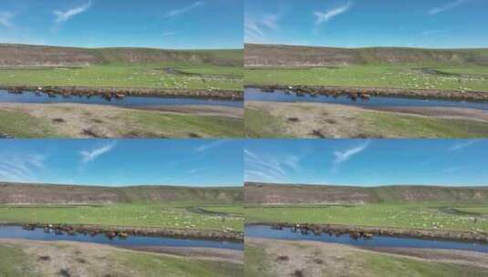 航拍呼伦贝尔草原莫日格勒河风光1018高清在线视频素材下载