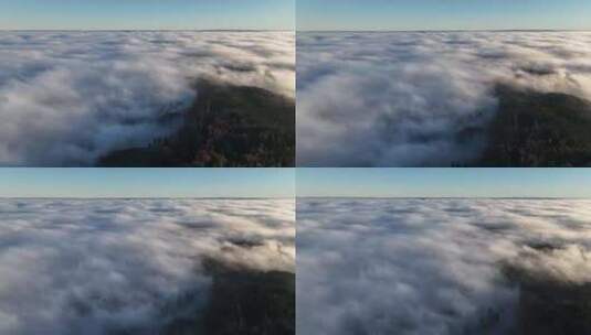森林云雾浓雾雾海大雾高清在线视频素材下载