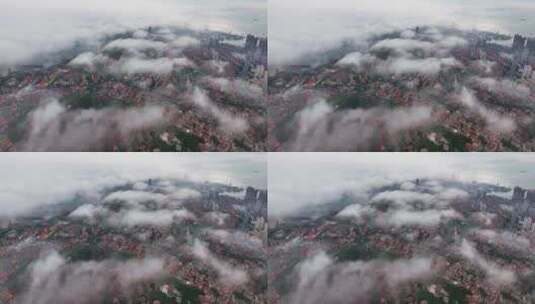 老城区平流雾高清在线视频素材下载