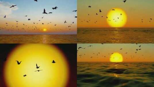 黄昏和傍晚在海上飞舞的海鸥慢动作高清在线视频素材下载