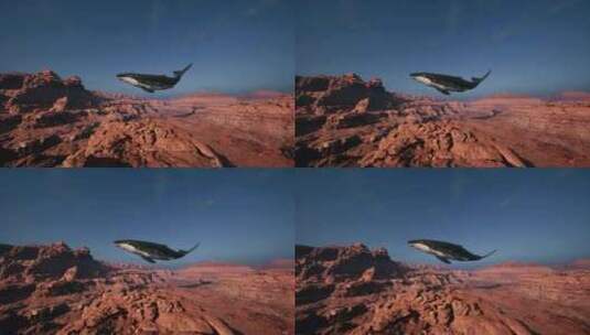 一只大鲸鱼漂浮在空中高清在线视频素材下载